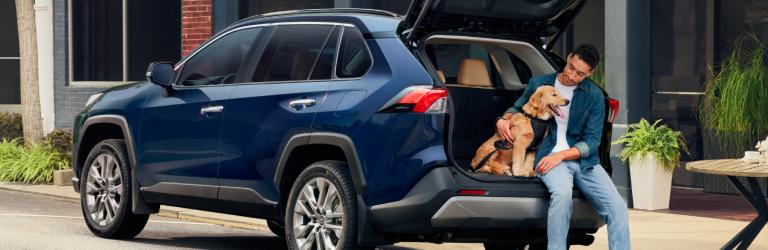 Man sitting in back of car with dog
